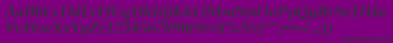 PalladiusBoldItalic Font – Black Fonts on Purple Background