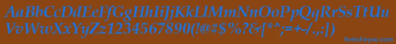 PalladiusBoldItalic Font – Blue Fonts on Brown Background