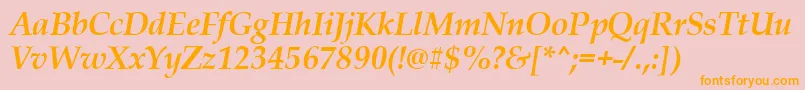 PalladiusBoldItalic Font – Orange Fonts on Pink Background