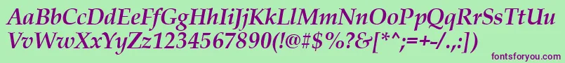 PalladiusBoldItalic Font – Purple Fonts on Green Background