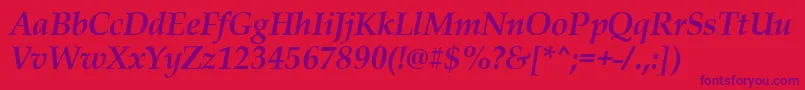 PalladiusBoldItalic Font – Purple Fonts on Red Background