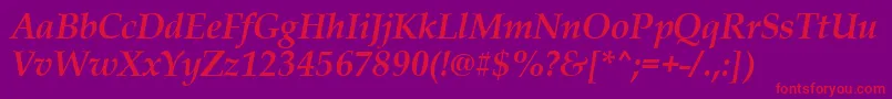 PalladiusBoldItalic Font – Red Fonts on Purple Background