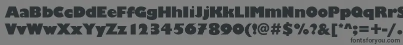 ChantillyDisplayRegular Font – Black Fonts on Gray Background