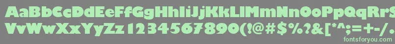 ChantillyDisplayRegular Font – Green Fonts on Gray Background