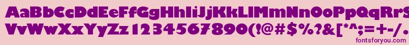 ChantillyDisplayRegular Font – Purple Fonts on Pink Background
