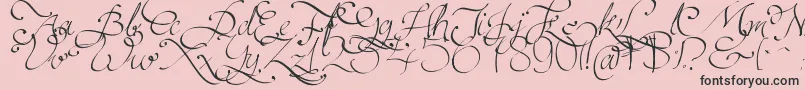 Persifal-Schriftart – Schwarze Schriften auf rosa Hintergrund