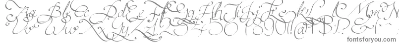 Persifal-Schriftart – Graue Schriften