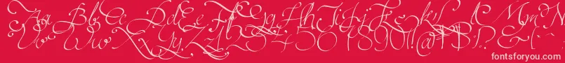 Persifal Font – Pink Fonts on Red Background