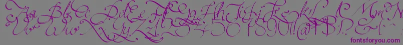 Persifal-Schriftart – Violette Schriften auf grauem Hintergrund