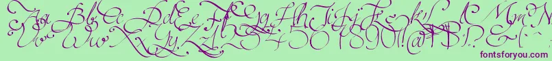 Persifal-Schriftart – Violette Schriften auf grünem Hintergrund