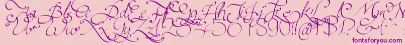 Persifal Font – Purple Fonts on Pink Background
