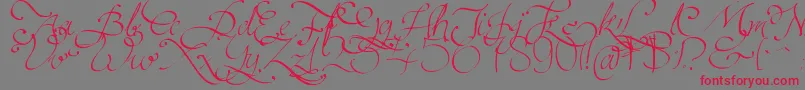 Persifal Font – Red Fonts on Gray Background