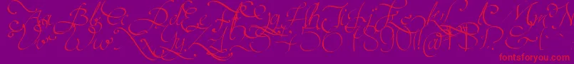 Persifal Font – Red Fonts on Purple Background