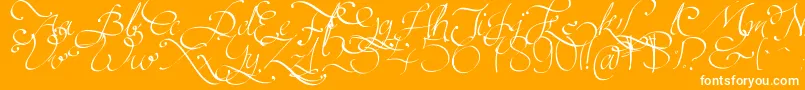 Persifal Font – White Fonts on Orange Background