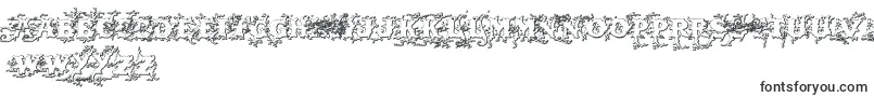 Darkwoodbeveled-Schriftart – suahelische Schriften