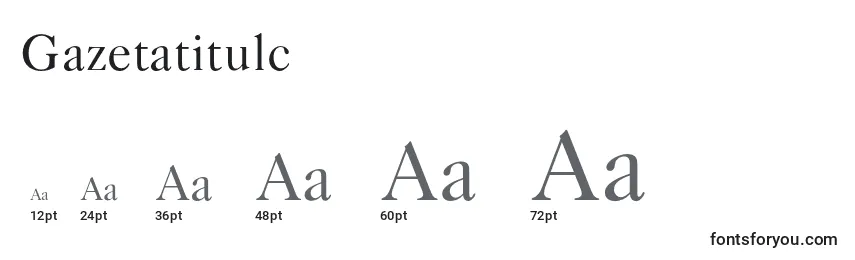Размеры шрифта Gazetatitulc