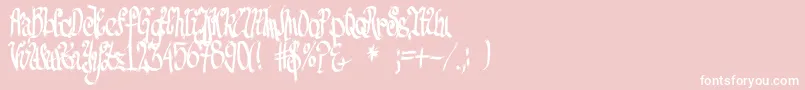 FeSenselessStrokes Font – White Fonts on Pink Background