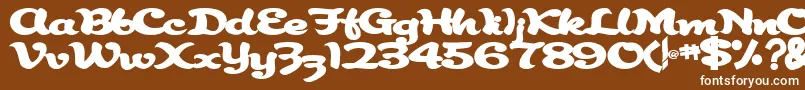 Abracadabra91Bold Font – White Fonts on Brown Background