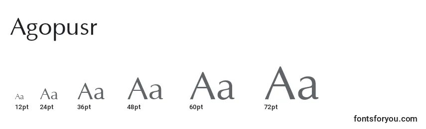 Размеры шрифта Agopusr
