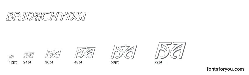 Brinathynsi Font Sizes