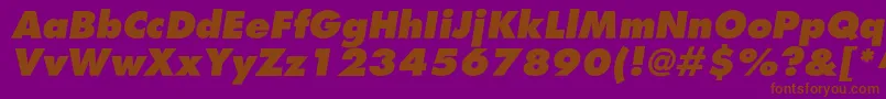 AgfatumextraboldcItalic Font – Brown Fonts on Purple Background