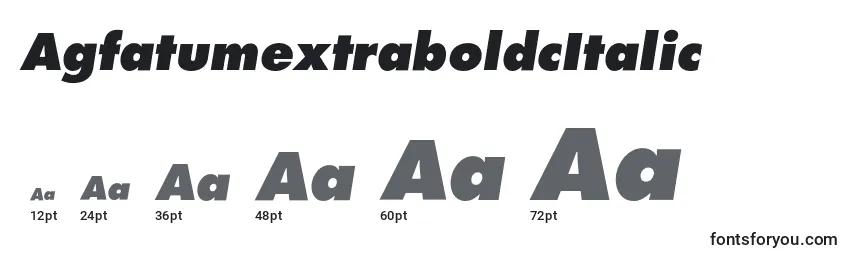 Размеры шрифта AgfatumextraboldcItalic