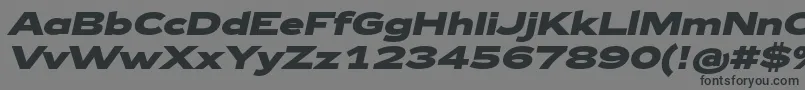 Zeppelin43BoldItalic Font – Black Fonts on Gray Background