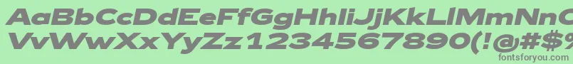 Zeppelin43BoldItalic Font – Gray Fonts on Green Background