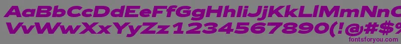 Шрифт Zeppelin43BoldItalic – фиолетовые шрифты на сером фоне