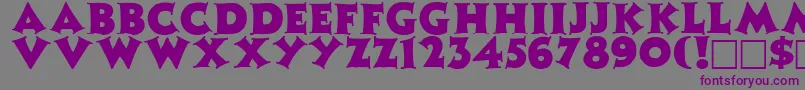 ZinniaRegular Font – Purple Fonts on Gray Background