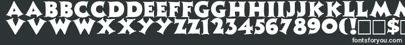フォントZinniaRegular – 黒い背景に白い文字