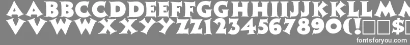 フォントZinniaRegular – 灰色の背景に白い文字