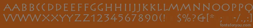 More about RusticanaLtRoman Font RusticanaLtRoman Font – Gray Fonts on Brown Background