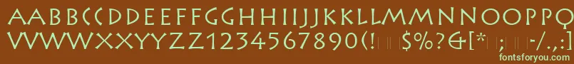 En savoir plus sur la police RusticanaLtRoman Police RusticanaLtRoman – polices vertes sur fond brun