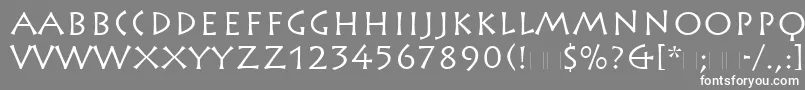 RusticanaLtRoman Font – White Fonts on Gray Background