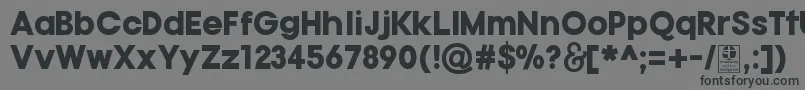 フォントTypoGotikaBlackDemo – 黒い文字の灰色の背景