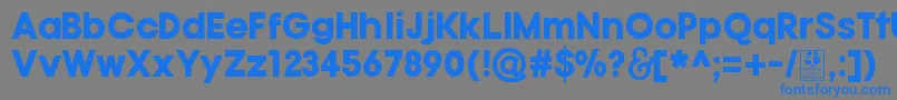 フォントTypoGotikaBlackDemo – 灰色の背景に青い文字
