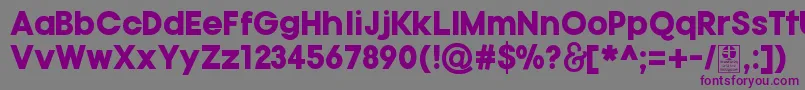 Czcionka TypoGotikaBlackDemo – fioletowe czcionki na szarym tle