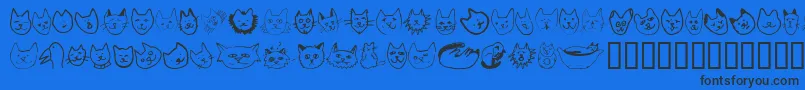 Linusface Font – Black Fonts on Blue Background