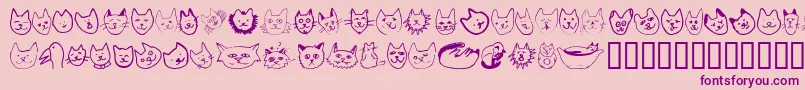 Linusface Font – Purple Fonts on Pink Background