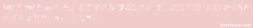 Zooland Font – White Fonts on Pink Background