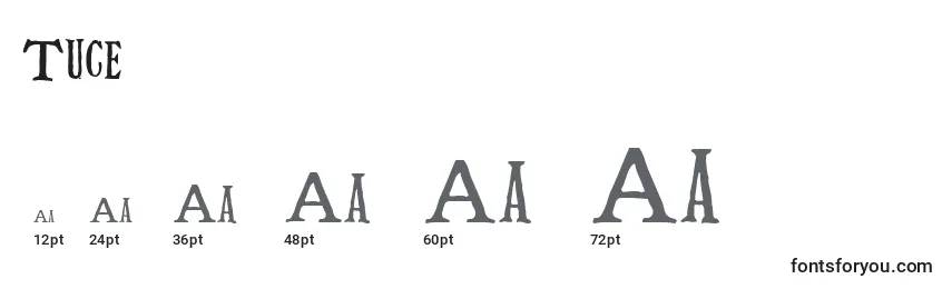 Größen der Schriftart Tuce (48462)
