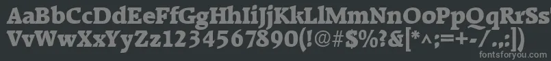 フォントRaleighhBold – 黒い背景に灰色の文字