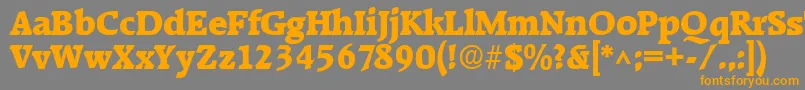 RaleighhBold-Schriftart – Orangefarbene Schriften auf grauem Hintergrund