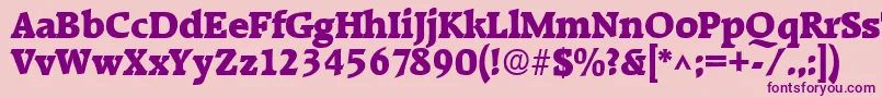 RaleighhBold Font – Purple Fonts on Pink Background