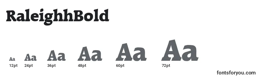RaleighhBold Font Sizes