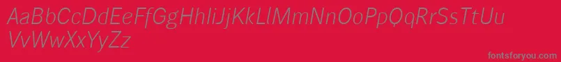 Wendelinreduced46leichtkursiv Font – Gray Fonts on Red Background