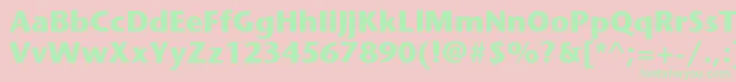 ItcStoneSansLtBold Font – Green Fonts on Pink Background