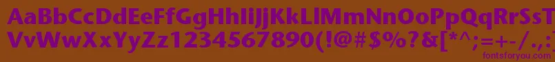 ItcStoneSansLtBold Font – Purple Fonts on Brown Background