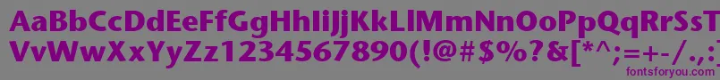 フォントItcStoneSansLtBold – 紫色のフォント、灰色の背景